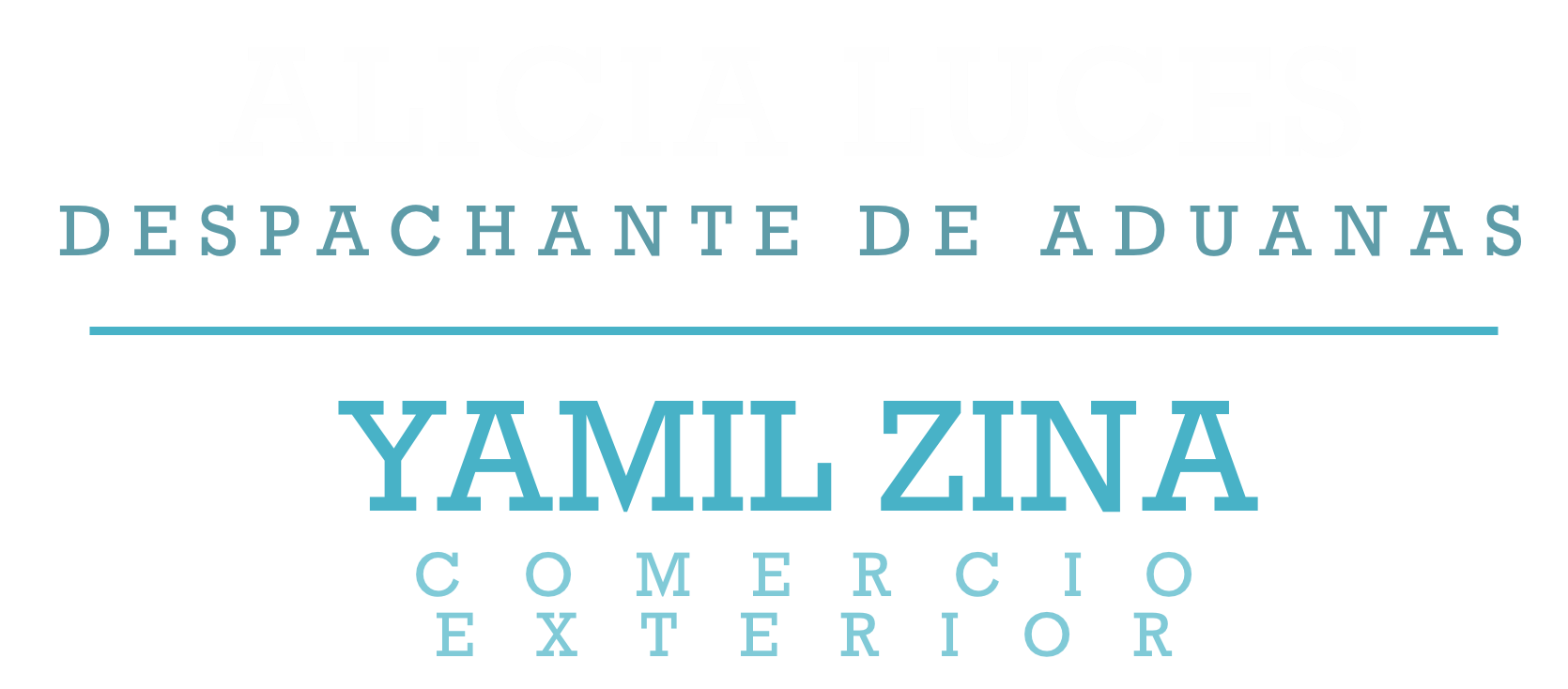 logo de yamil zina